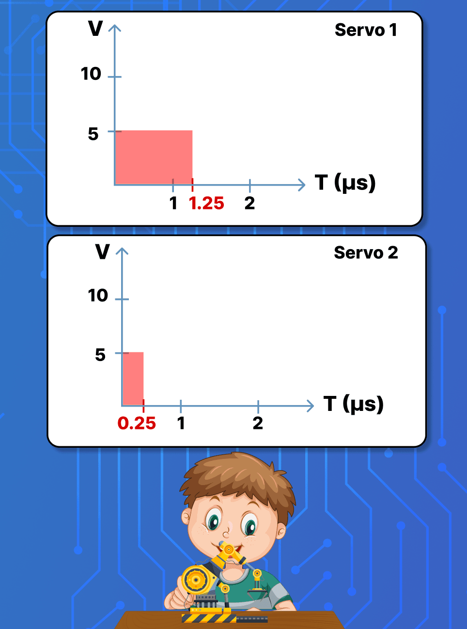 Quiz options