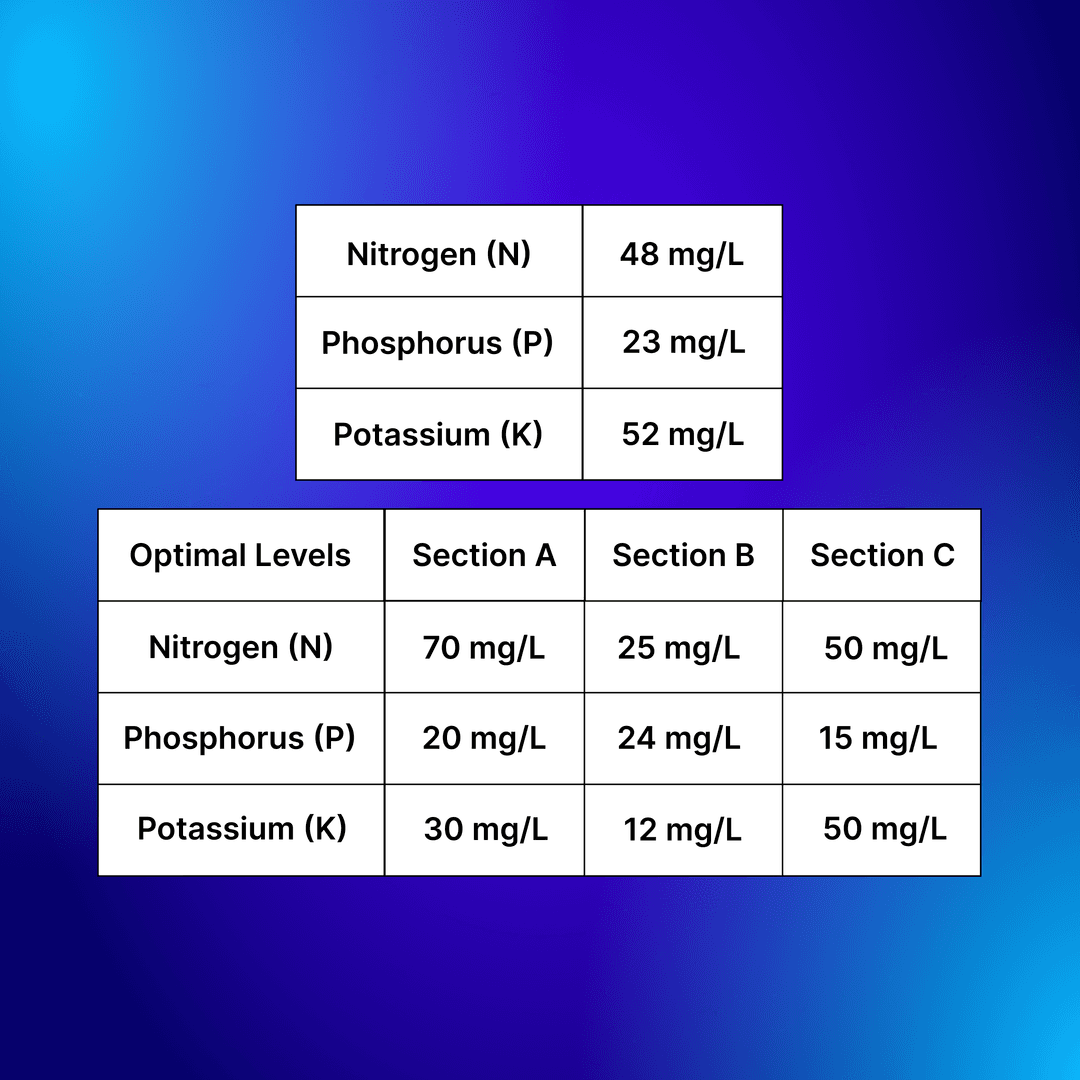 Quiz options