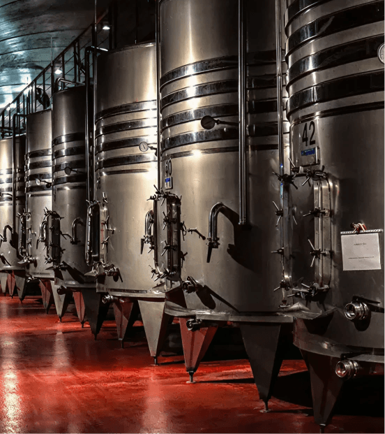 Precision Fermentation of Dairy
